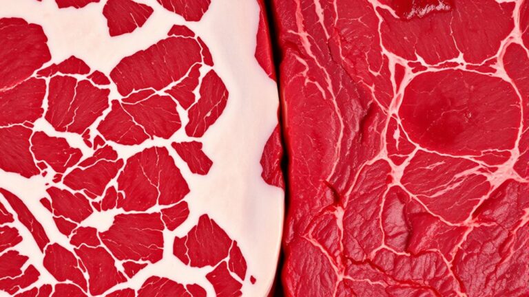 lean marbled premium quality